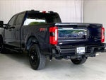 2025 F-250 Super Duty Thumbnail 10