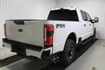 2023 F-250 Super Duty Thumbnail 6