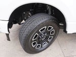 2025 F-250 Super Duty Thumbnail 29