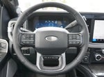 2025 F-250 Super Duty Thumbnail 10