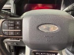 2025 F-350 Super Duty Thumbnail 24
