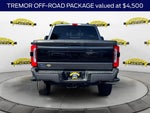 2025 F-350 Super Duty Thumbnail 2