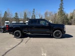 2025 F-350 Super Duty Thumbnail 8