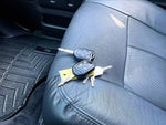 2015 F-350 Super Duty Thumbnail 14