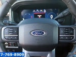 2025 F-350 Super Duty Thumbnail 21