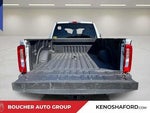 2025 F-350 Super Duty Thumbnail 9