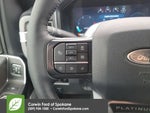 2025 F-450 Super Duty Thumbnail 22