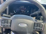 2025 F-450 Super Duty Thumbnail 2