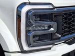 2025 F-450 Super Duty Thumbnail 9