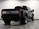 2025 F-450 Super Duty Thumbnail 3