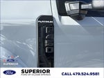 2025 F-450 Super Duty Thumbnail 13