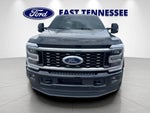 2025 F-450 Super Duty Thumbnail 9