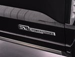 2025 F-450 Super Duty Thumbnail 11