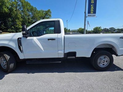 2024 Ford F-250 Super Duty 4X4 XL 2DR Regular Cab 8 FT. LB Pickup