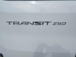 2020 Transit Thumbnail 13