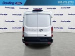 2025 Transit Thumbnail 7