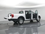 2024 Ranger Thumbnail 5