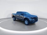2024 Ranger Thumbnail 1