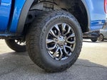 2022 Ranger Thumbnail 11