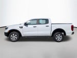 2020 Ranger Thumbnail 8