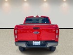 2021 Ranger Thumbnail 6