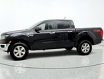 2019 Ranger Thumbnail 8