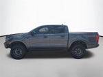 2019 Ranger Thumbnail 2
