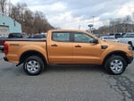 2019 Ranger Thumbnail 8