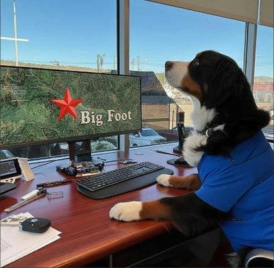 2019 Ford Ranger 4X4 XLT 4DR Supercrew 5.1 FT. SB