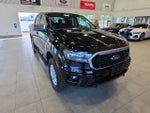 2021 Ranger Thumbnail 4
