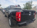 2019 Ranger Thumbnail 3