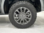 2019 Ranger Thumbnail 10