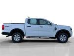 2024 Ranger Thumbnail 20