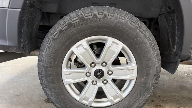 2024 Ford Ranger XL