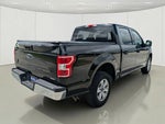 2019 F-150 Thumbnail 5