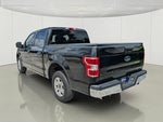 2019 F-150 Thumbnail 7