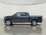 2019 F-150 Thumbnail 8