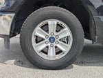 2019 F-150 Thumbnail 10