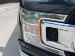 2019 F-150 Thumbnail 11