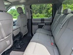 2019 F-150 Thumbnail 14