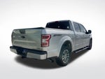2019 F-150 Thumbnail 6