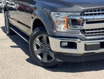 2020 F-150 Thumbnail 4