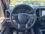 2020 F-150 Thumbnail 21
