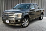 2019 F-150 Thumbnail 1