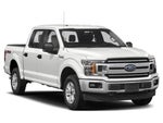 2019 F-150 Thumbnail 6