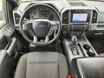 2019 F-150 Thumbnail 13