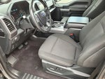 2019 F-150 Thumbnail 15