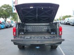 2020 F-150 Thumbnail 10