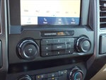 2020 F-150 Thumbnail 11