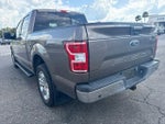 2020 F-150 Thumbnail 7